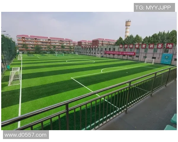 正常足球的尺寸与编号解析及不同类型足球的使用场景介绍 正常足球的尺寸与编号解析及不同类型足球的使用场景介绍