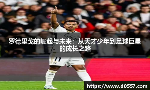 3377体育app