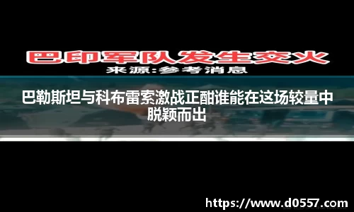3377体育官网